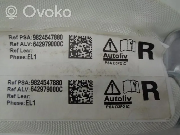 Citroen DS3 Stogo oro pagalvė (užuolaida) 9824547880