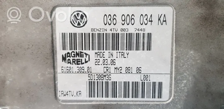 Volkswagen Polo IV 9N3 Variklio valdymo blokas 036906034KA