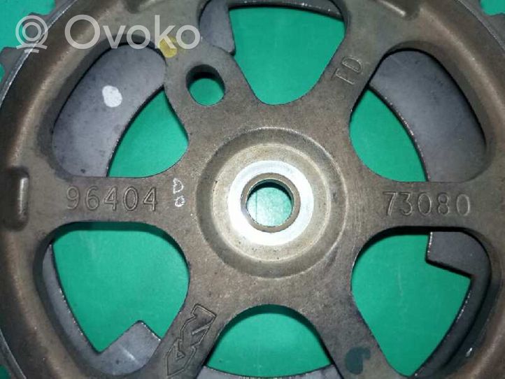 Citroen C3 Camshaft pulley/ VANOS 