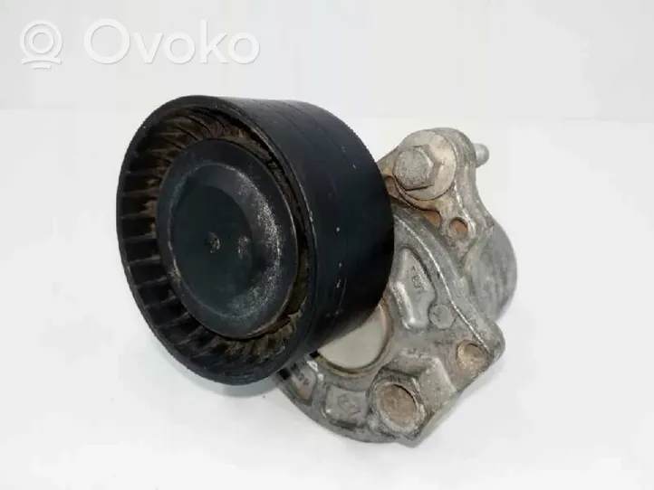 Renault Kadjar Napinacz paska alternatora 117505337R