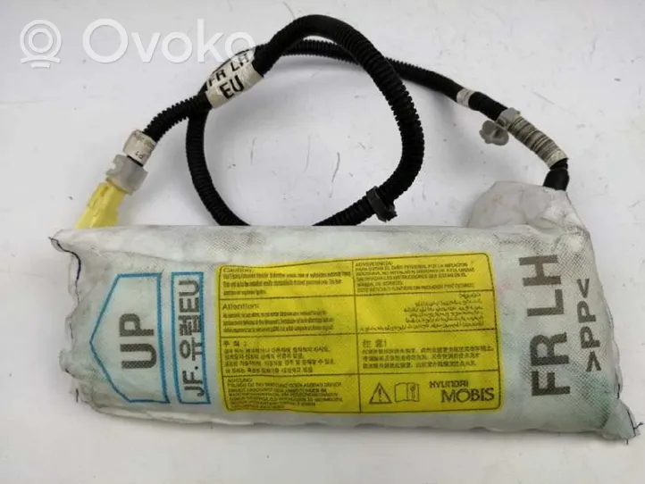 KIA Optima Airbag laterale 88910D4300