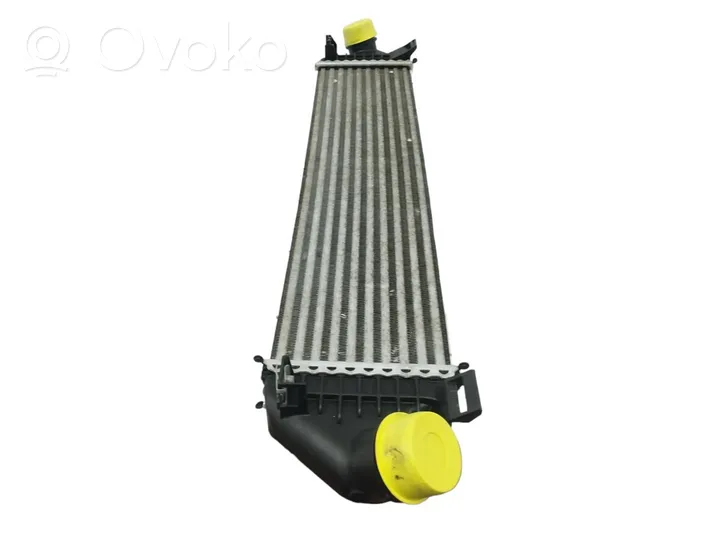 Volvo V40 Radiatore intercooler 31319168