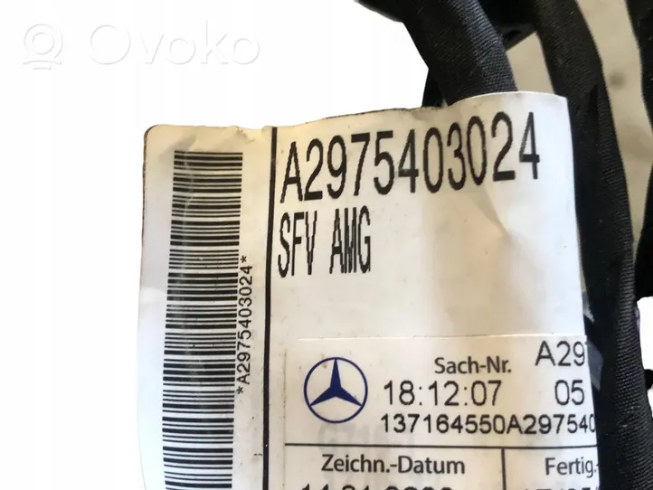 Mercedes-Benz EQC Pysäköintitutkan anturin johtosarja (PDC) A2975403024