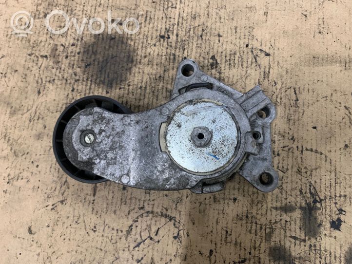 Volvo S40 Napinacz paska alternatora 846143