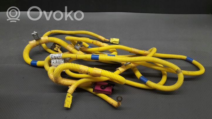 Hyundai Atos Prime Autres faisceaux de câbles 9176005000