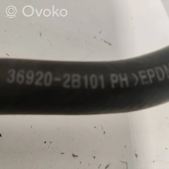 Hyundai Ioniq Coolant pipe/hose 369202B101