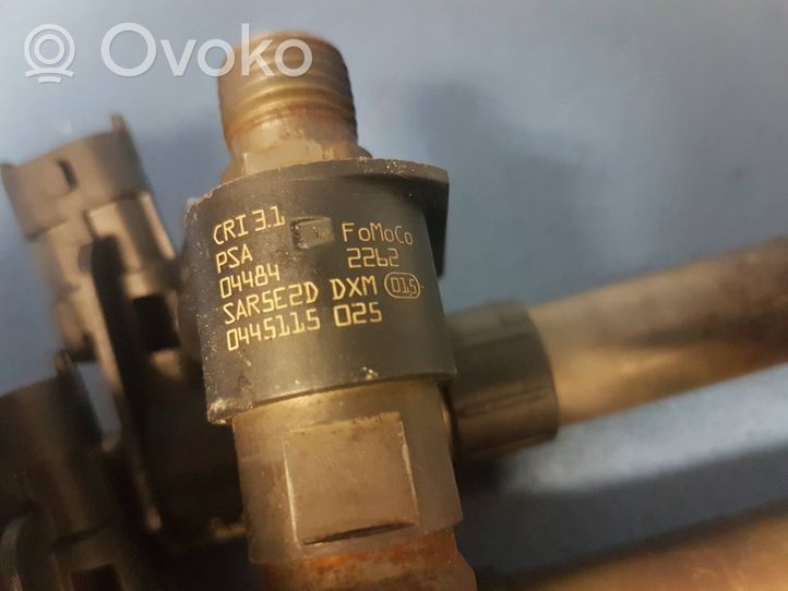 Ford S-MAX Injecteur de carburant 9659228880