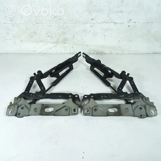 BMW 7 F01 F02 F03 F04 Cerniere del vano motore/cofano 