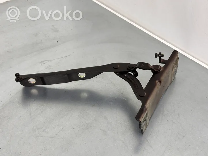 KIA Optima Engine bonnet/hood hinges 79110D4010