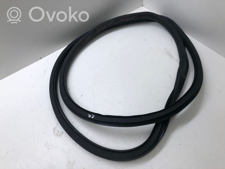 Opel Insignia A Front door rubber seal 