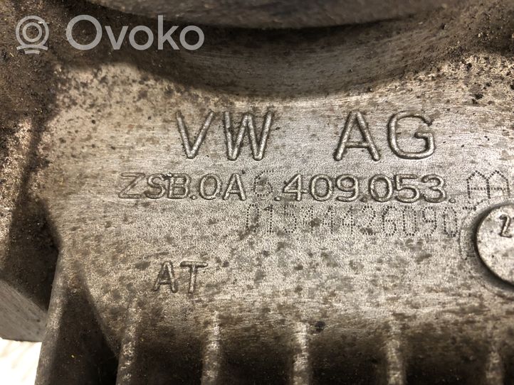 Volkswagen Tiguan Mechanizm różnicowy przedni / Dyferencjał ZSB0A6409053AA