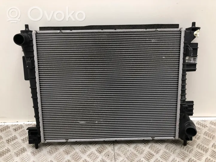 Hyundai i20 (BC3 BI3) Dzesēšanas šķidruma radiators 25310Q0300