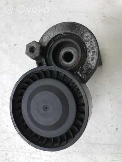 Nissan Qashqai Generatoriaus diržo įtempėjas 6563010