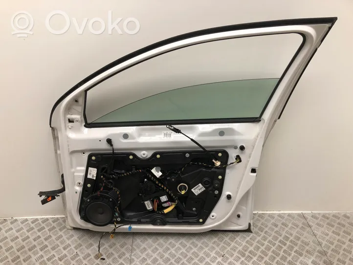 Volkswagen Golf VI Front door 