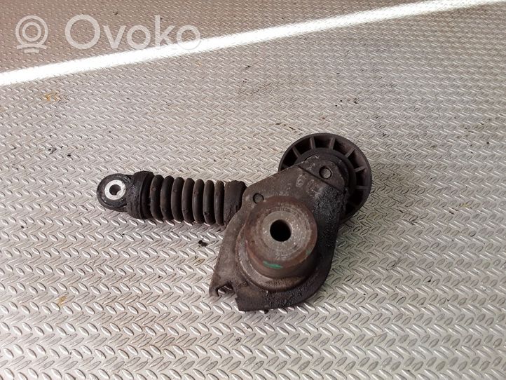 Peugeot 607 Napinacz paska alternatora 9635966680