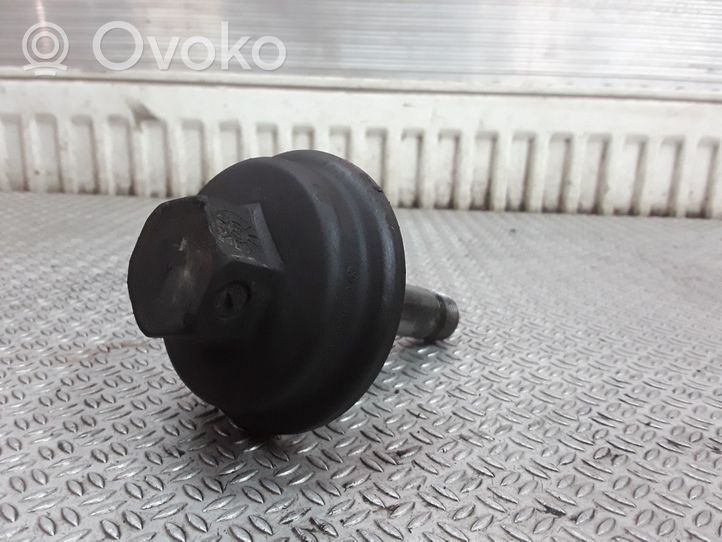 Volkswagen PASSAT B5.5 Coperchio del filtro dell’olio 038117061B