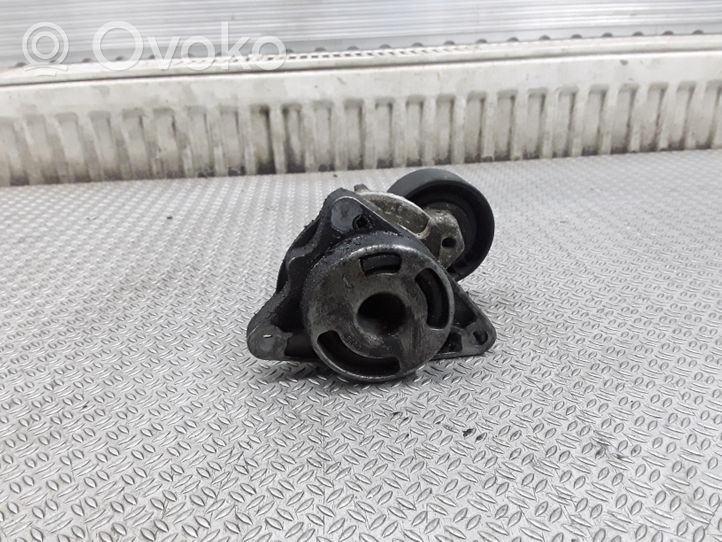 Opel Movano A Tendicinghia generatore/alternatore 