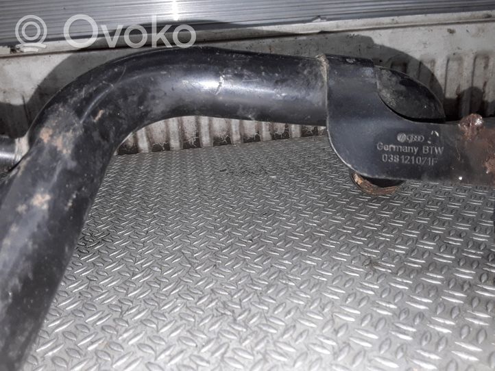 Volkswagen PASSAT B5 Variklio aušinimo vamzdelis (-ai)/ žarna (-os) 038121071F