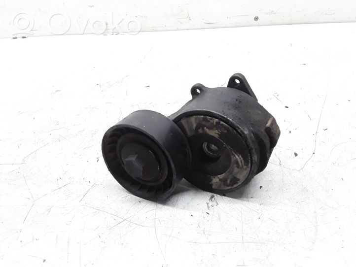 Opel Zafira B Tendicinghia generatore/alternatore 55190813