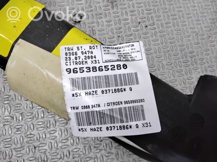 Citroen C5 Airbag da tetto 9653865280