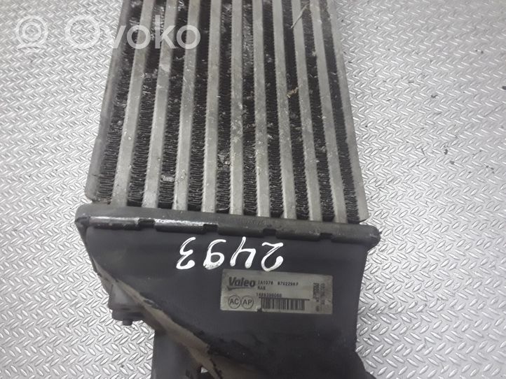 Peugeot 807 Radiatore intercooler 870229HF