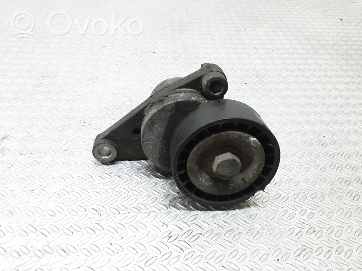 Citroen C2 Diržo įtempėjas 9652073680