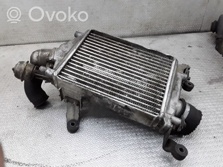 Opel Monterey Intercooler radiator 