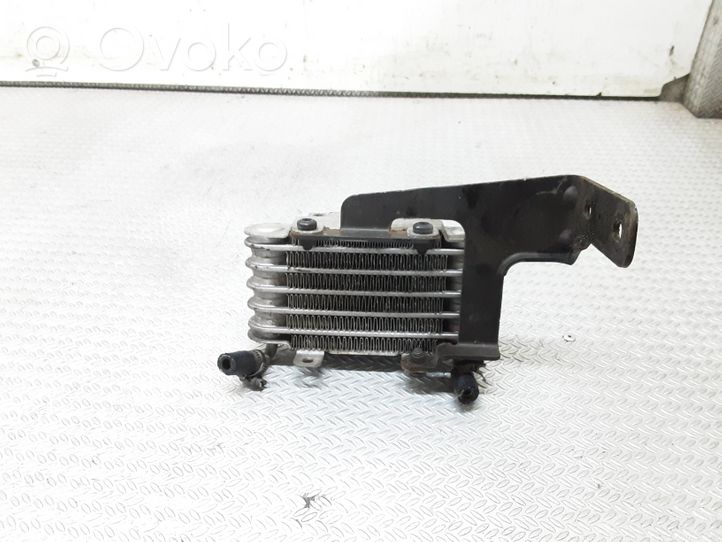 BMW 5 E39 Radiatore del carburatore (radiatore) 13322247411