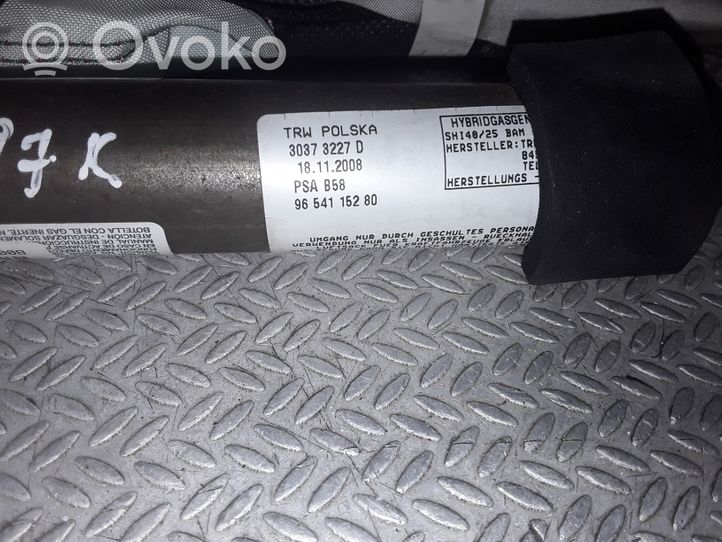Citroen C4 Grand Picasso Roof airbag 30373227D