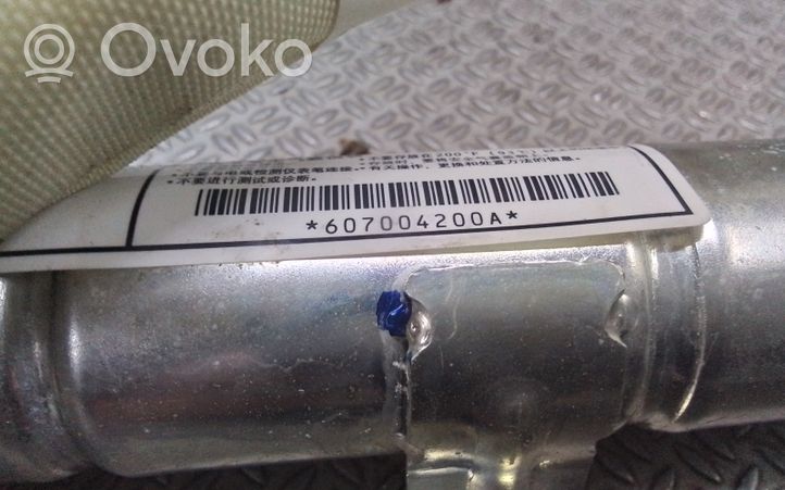 Mitsubishi Grandis Jumta gaisa spilvens 607004200A