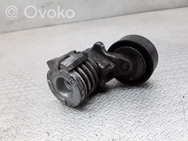 Skoda Fabia Mk2 (5J) Napinacz paska alternatora 03D903305F