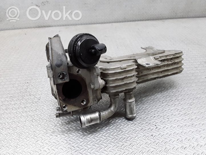 Volkswagen Golf Plus EGR valve cooler 038131513AD