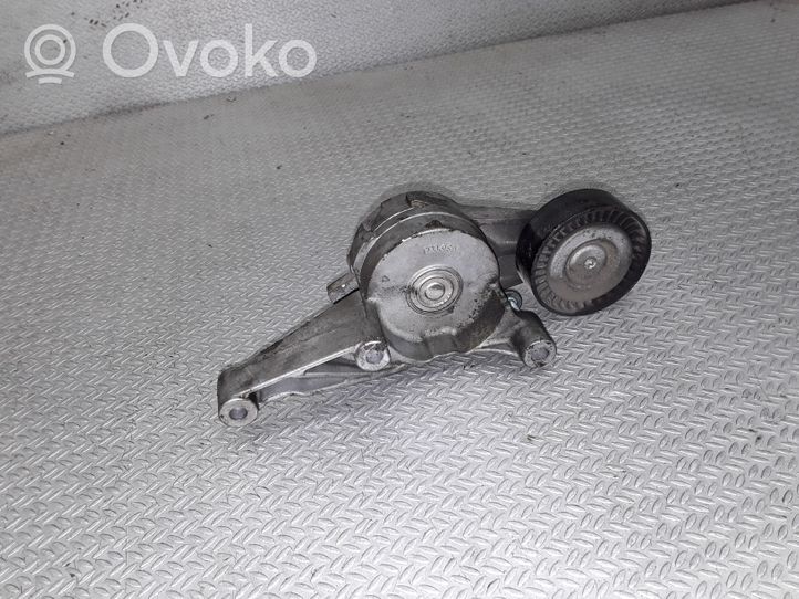 Volkswagen Golf Plus Generator/alternator belt tensioner 03G903315C