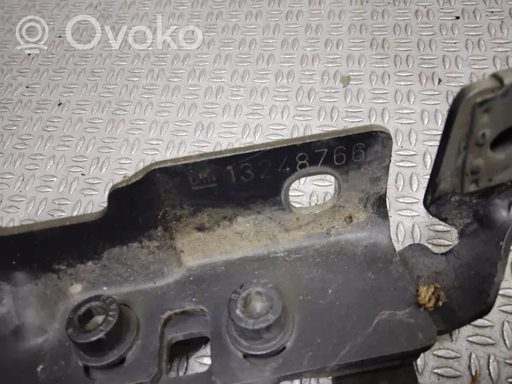 Opel Insignia A Cerniere del vano motore/cofano 13248766