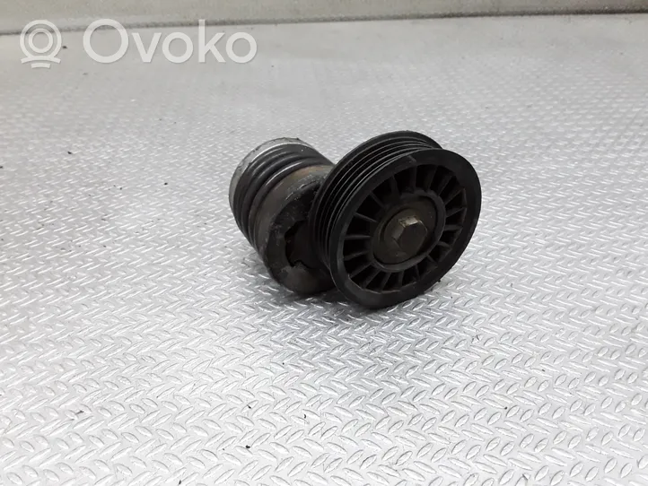 Volkswagen PASSAT B5 Tendicinghia generatore/alternatore 