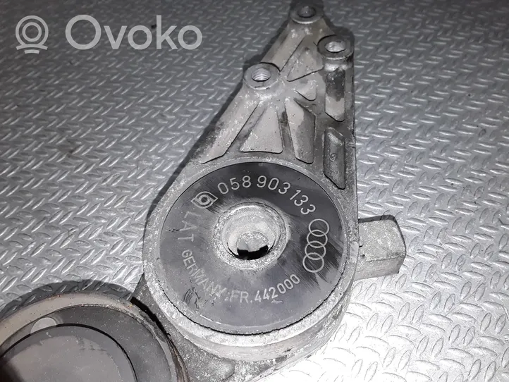 Audi A4 S4 B5 8D Diržo įtempėjas 058903133