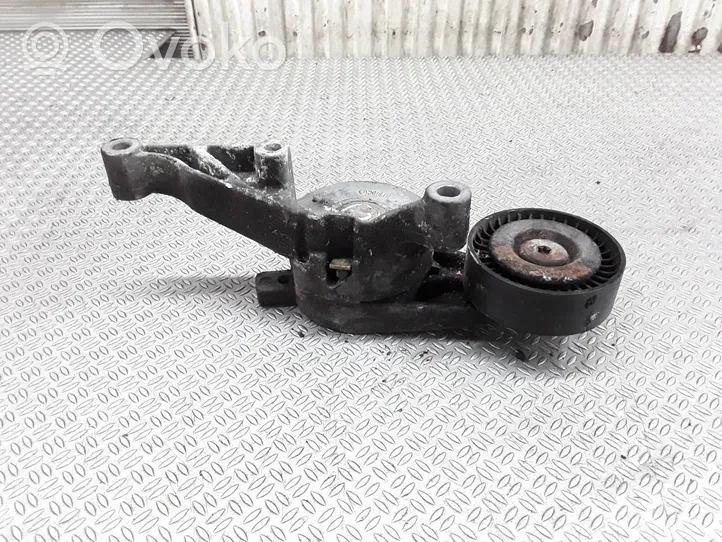 Volkswagen PASSAT B6 Napinacz paska alternatora 03G903315C