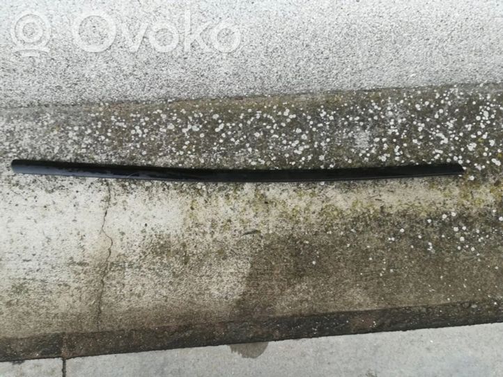 1621165-00-B Tesla Model 3 Front door trim (molding), 112.66 € | RRR 