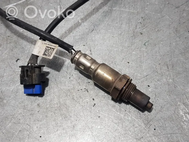 Ford Ka Sensore della sonda Lambda HN1A9G444BE