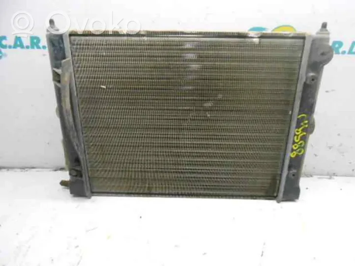 Seat Terra Radiateur de refroidissement 