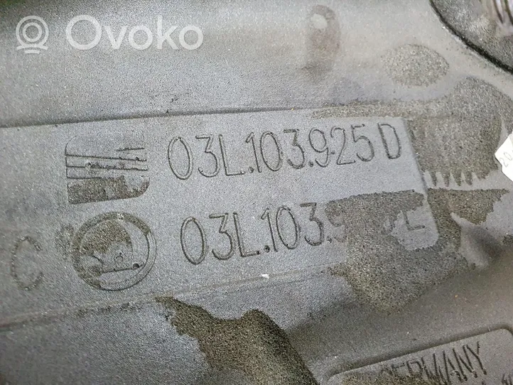 Volkswagen PASSAT B6 Kita variklio detalė 03L103925D