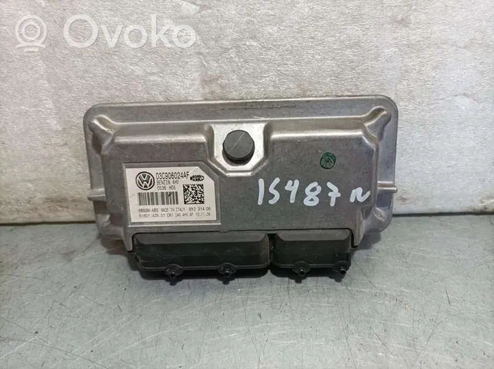 Seat Ibiza III (6L) Sterownik / Moduł ECU 03C906024AF