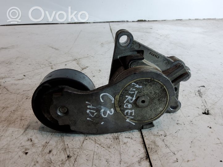 Citroen C3 Napinacz paska wielorowkowego / Alternatora 