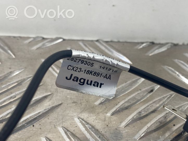 Jaguar XF Amplificatore antenna CX2318K891AA