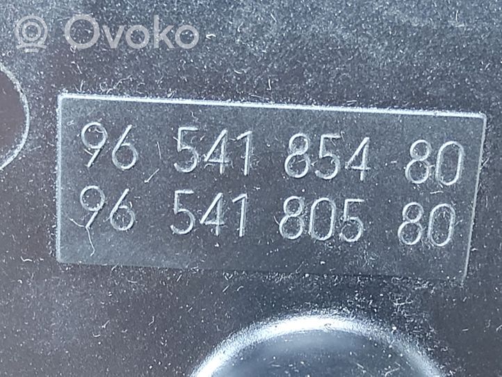 Peugeot 407 Réservoir de liquide de direction assistée 9654185480