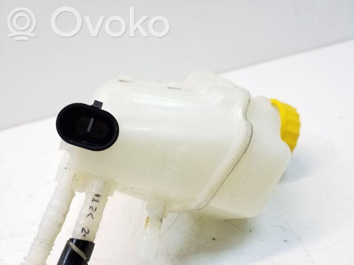 Fiat punto sales brake fluid