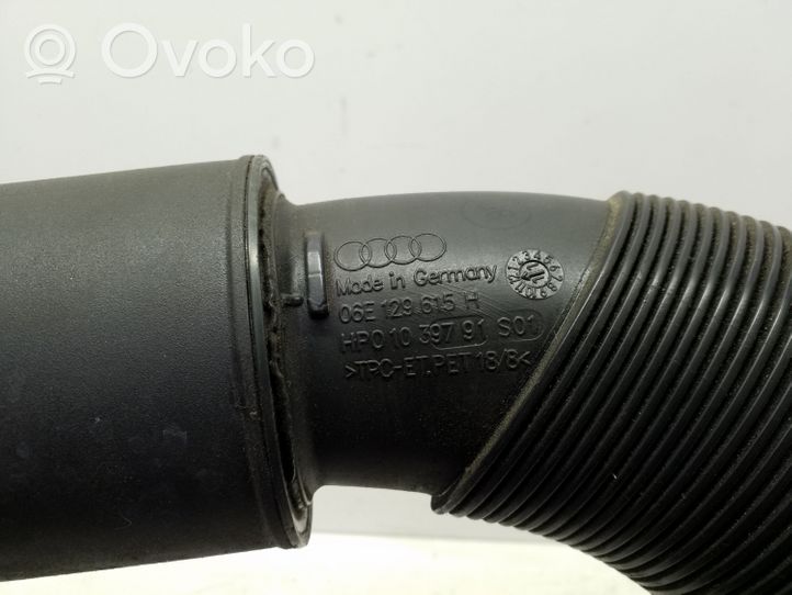 Audi A6 S6 C7 4G Oro paėmimo kanalo detalė (-ės) 06E129615H