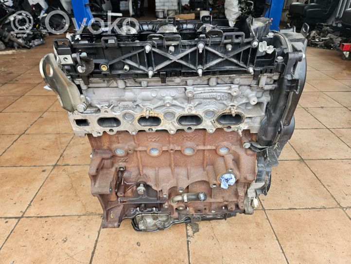 Ford C-MAX II Engine AV4Q6007DB