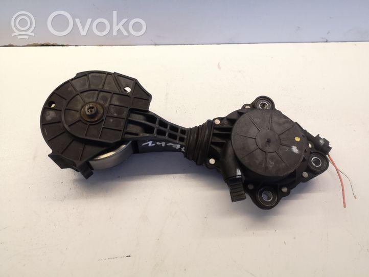 Citroen C4 II Tendicinghia generatore/alternatore V759883280