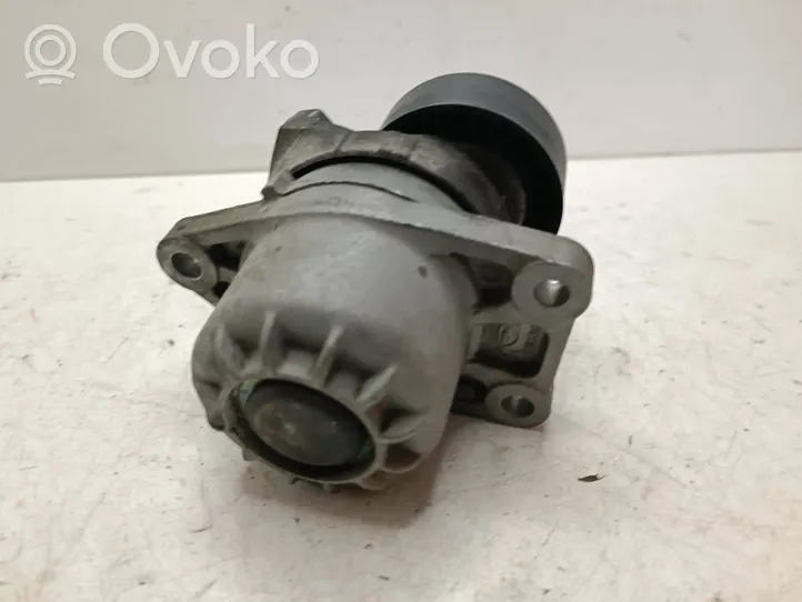 Citroen C4 II Picasso Napinacz paska alternatora 9805244980